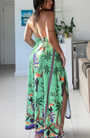Vestido Longo Halter Tropical – Estampa Tucanos
