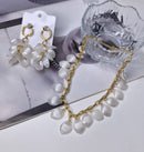 Colares Luxo - Diversos